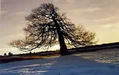 Cliquez pour agrandir    Photos jm binoist